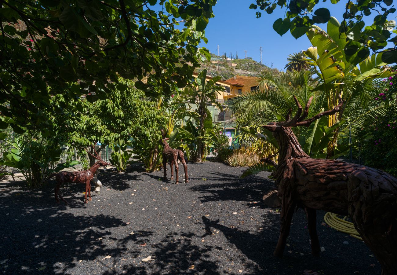 Domaine à Telde - Casa África By CanariasGetaway